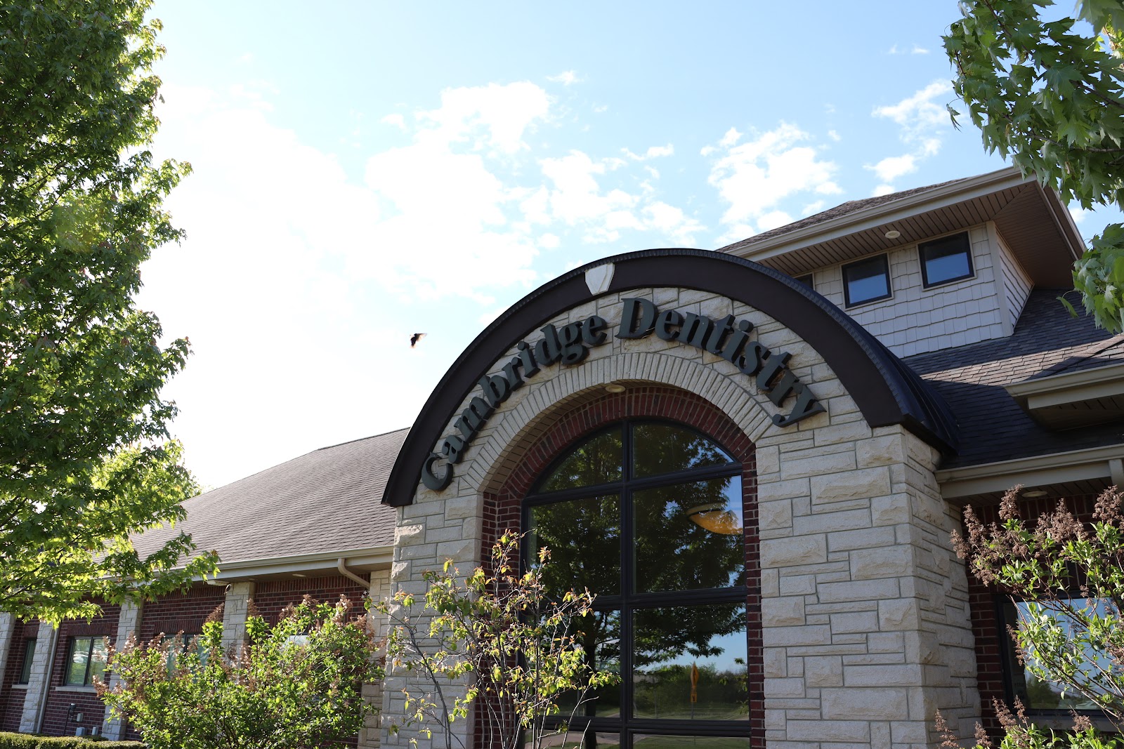 Cambridge Dentistry in Macomb