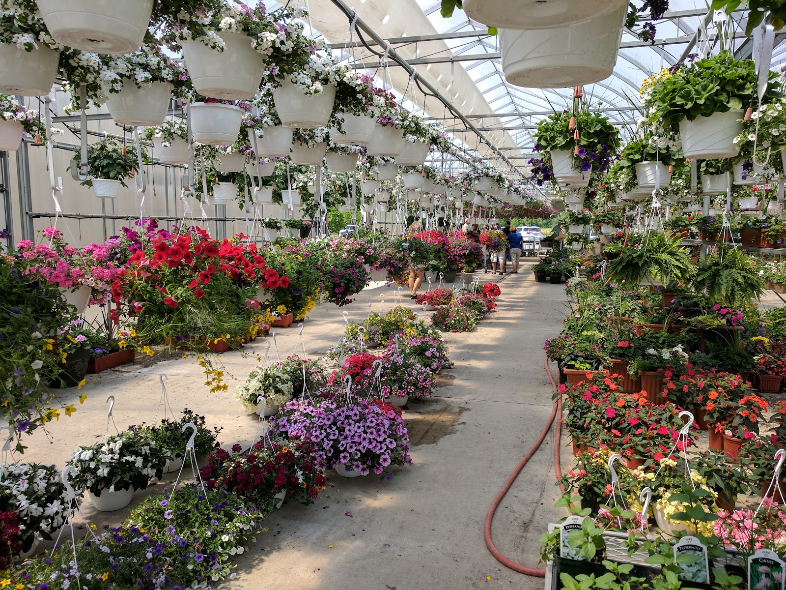 Gardens & Beyond in Macomb