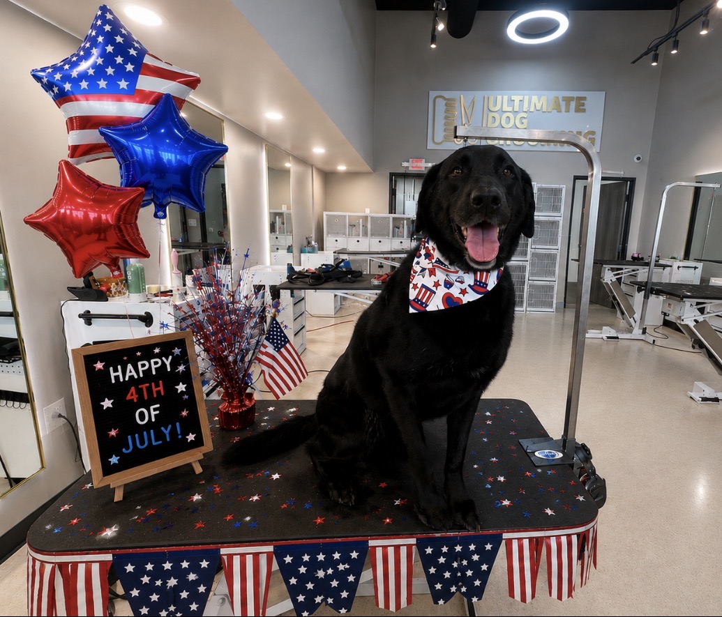 Ultimate Dog Grooming — photo